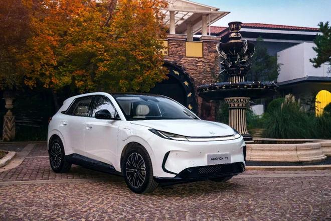 神榜！吉利星愿vs极狐T1闭眼冲不踩雷指南pg电子模拟器免费版10万内纯电代步车封(图6)